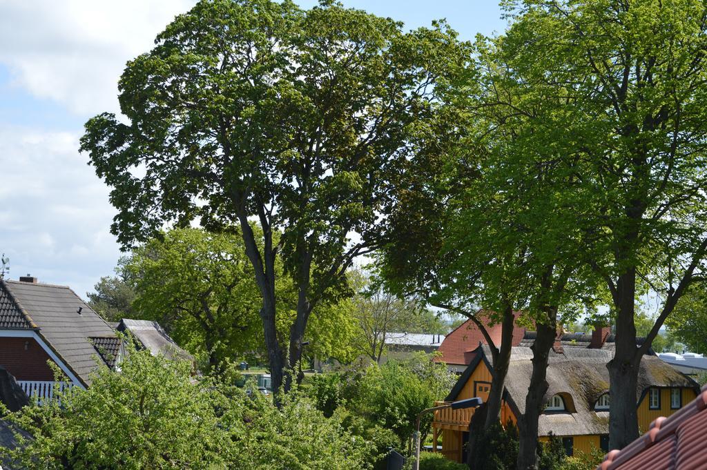 Ferienwohnung Gänsemarkt Born Zimmer foto